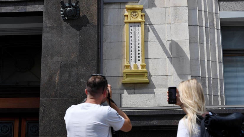 В Госдуме прокомментировали прогноз о жаркой погоде в ряде регионов ЦФО