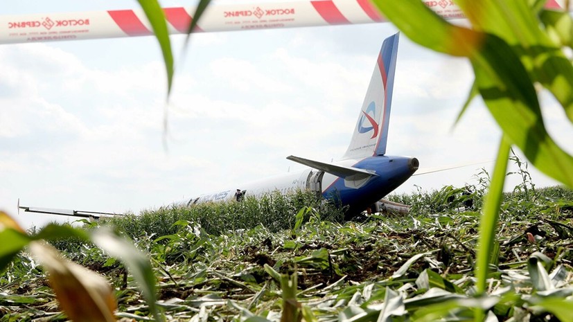 Опубликовано видео из салона севшего в кукурузном поле A321