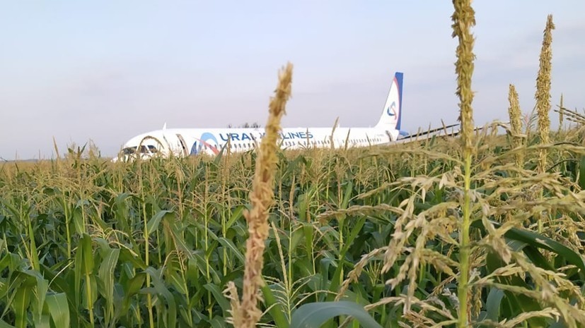 Экипаж аварийно севшего А321 пригласили на отдых в Крым
