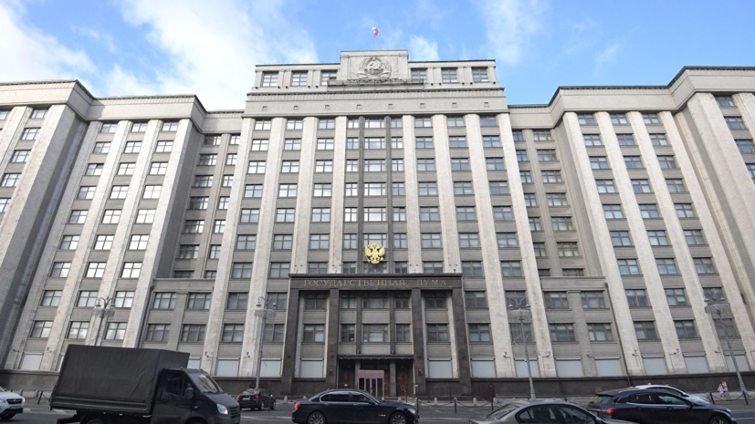 DW оценила слова главы комиссии Госдумы по вмешательству в дела России