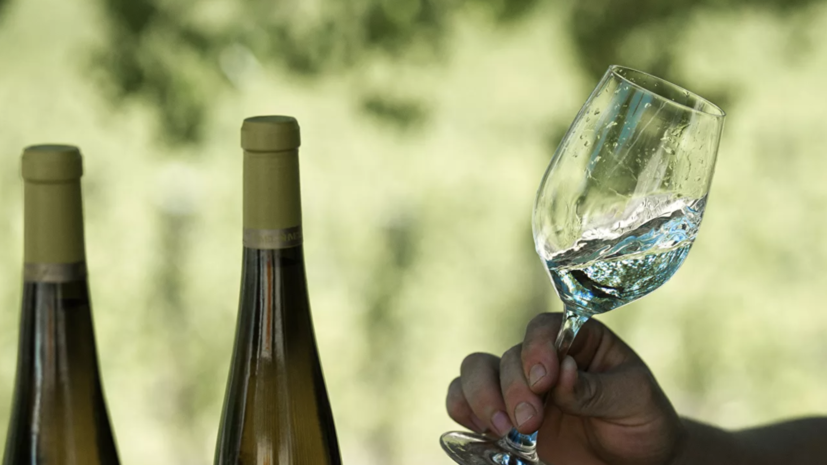 Роскачество дало рекомендации по выбору белого вина