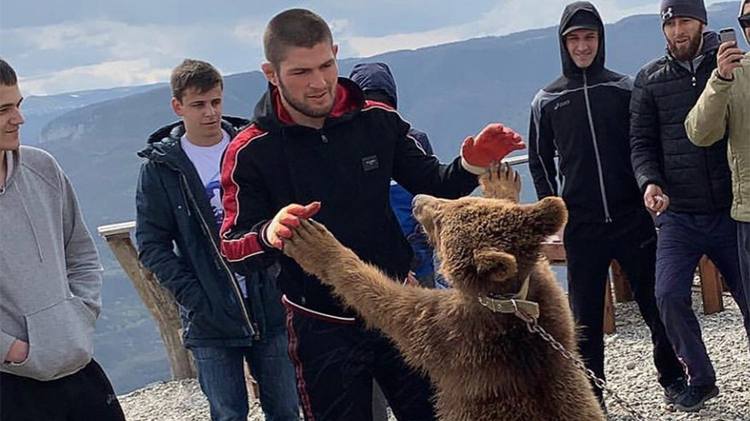 Ковингтон отреагировал на жалобу зоозащитников на Нурмагомедова