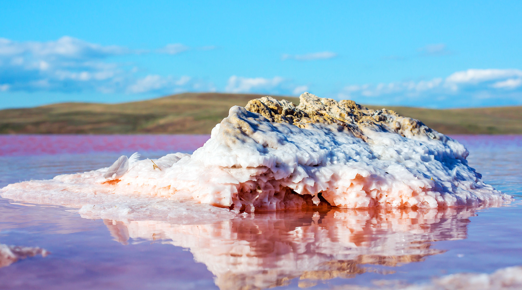 Крым соленое озеро розовое
