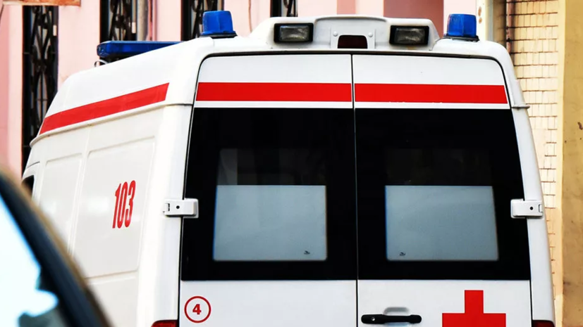 Четыре жителя села на Ставрополье попали в больницу после атаки волков