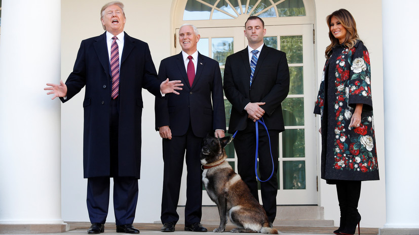 Трамп наградил участвовавшую в ликвидации главаря ИГ собаку