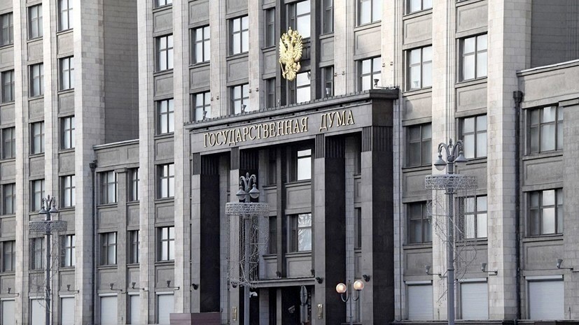 В Госдуме прокомментировали предложение выдавать «новогодние визы» иностранцам