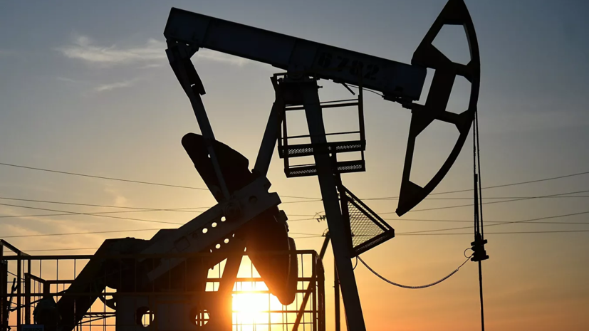 Белоруссия приостановила экспорт нефтепродуктов