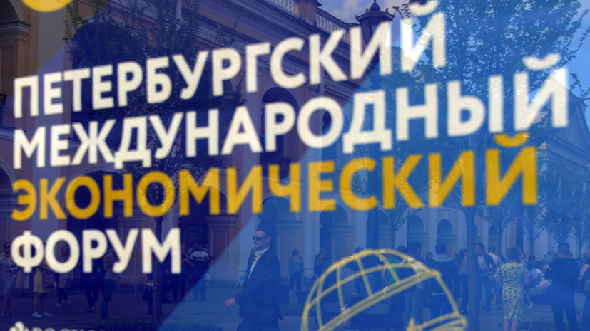 Участники иностранных делегаций ПМЭФ-2020 смогут въехать в Россию по электронным визам