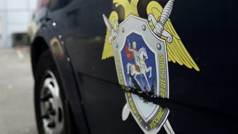 После нападения собаки на ребёнка под Астраханью заведено дело