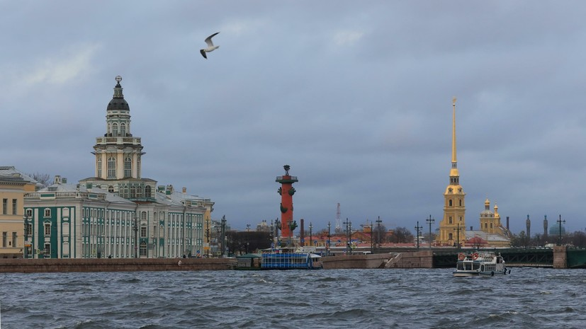 МЧС предупредило о сильном ветре в Петербурге и Ленобласти