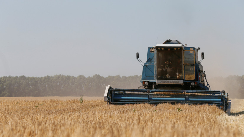 Производство сельхозпродукции в Ростовской области выросло на 5,4% в 2019 году