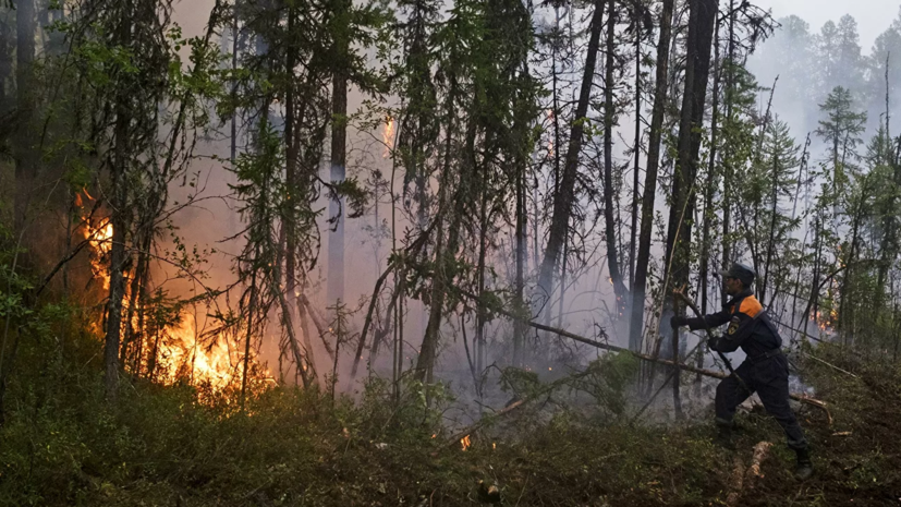 Рослесхоз объявил о начале пожароопасного сезона в ряде регионов