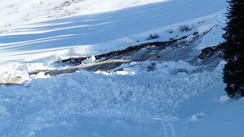 Спасатели нашли тела попавших под снежную лавину на Камчатке