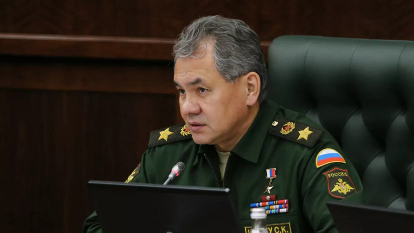 Шойгу встретился в Дамаске с Асадом по поручению Путина