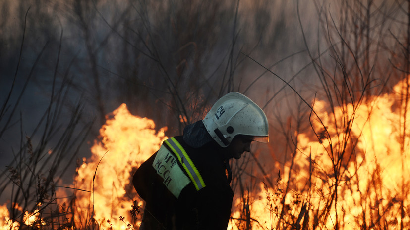 В Красноярском крае ликвидировали природный пожар