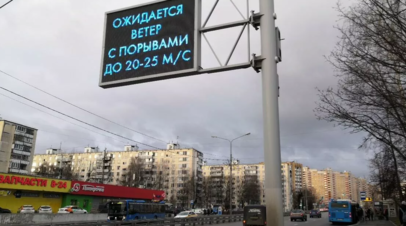 В РАН объяснили сильный ветер в Москве
