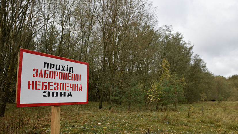 На Украине заявили об усилении лесного пожара в чернобыльской зоне