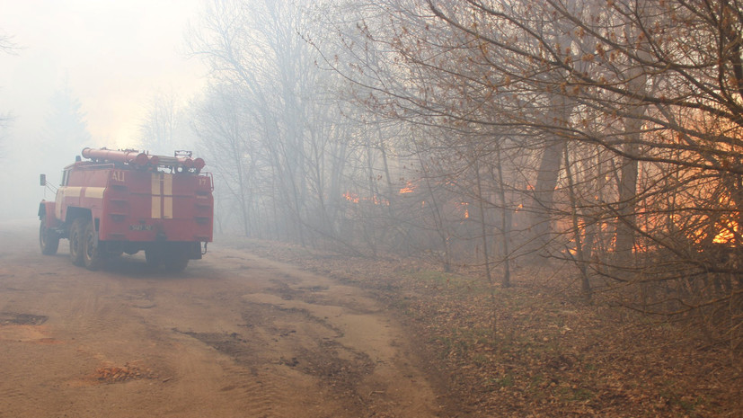 Украинские спасатели продолжают тушить пожар в чернобыльской зоне