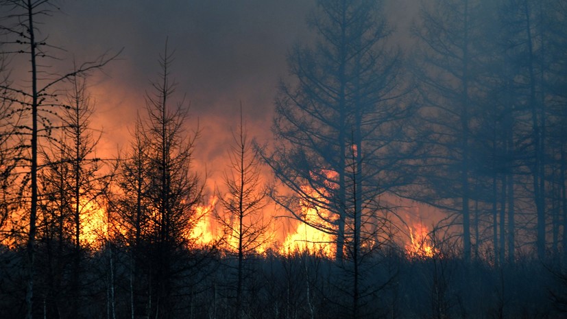 В Авиалесоохране рассказали о ликвидации лесных пожаров в России