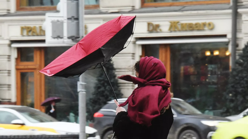 МЧС предупредило о грозе и сильном ветре в Москве