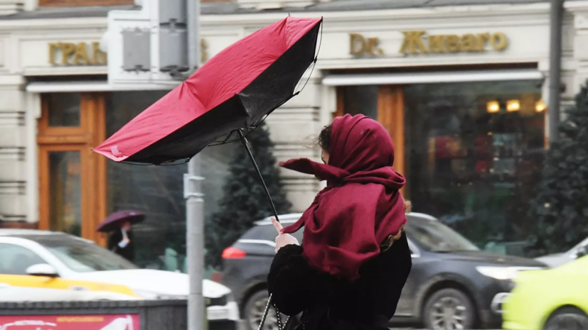 ЦОДД призвал к осторожности из-за сильного ветра в Москве