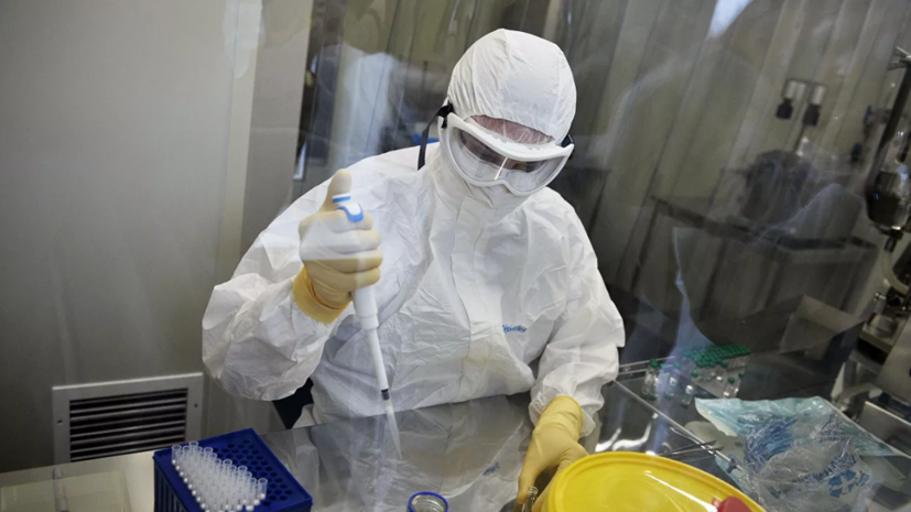 В России провели более 9 млн тестов на коронавирус