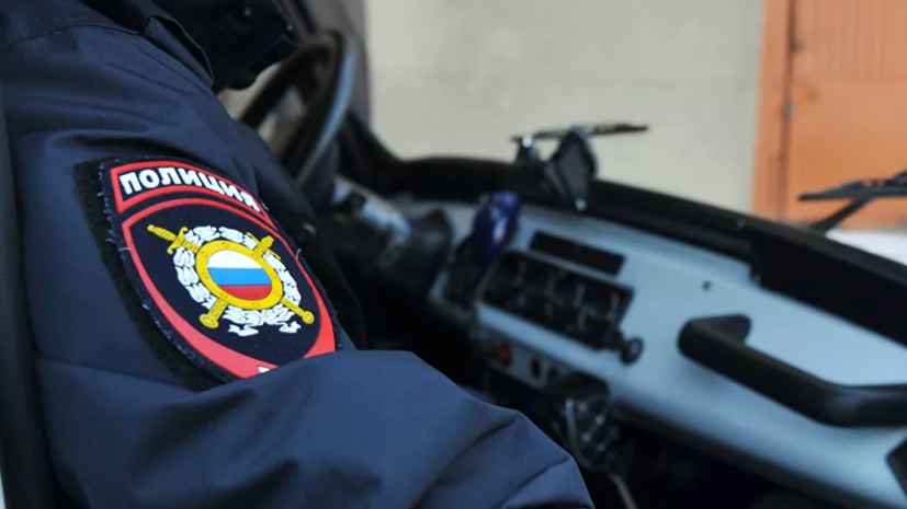 Детский омбудсмен в Ивановской области прокомментировала дело об убийстве собаки подростками