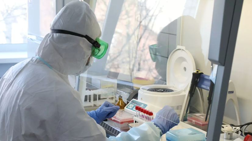В России провели более 12,7 млн тестов на коронавирус