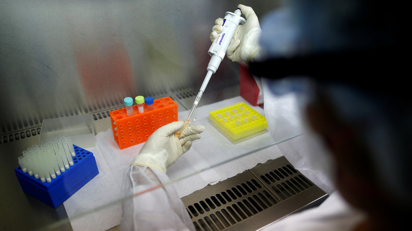 Бразилия и Британия намерены сотрудничать по вакцине от коронавируса