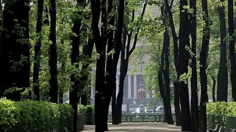 Названы даты открытия Михайловского и Летнего садов в Петербурге