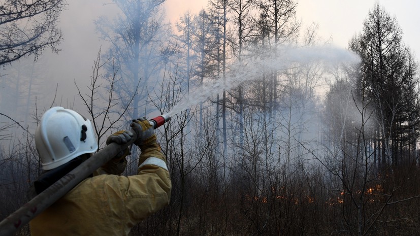 В России за сутки ликвидировали более 100 лесных пожаров