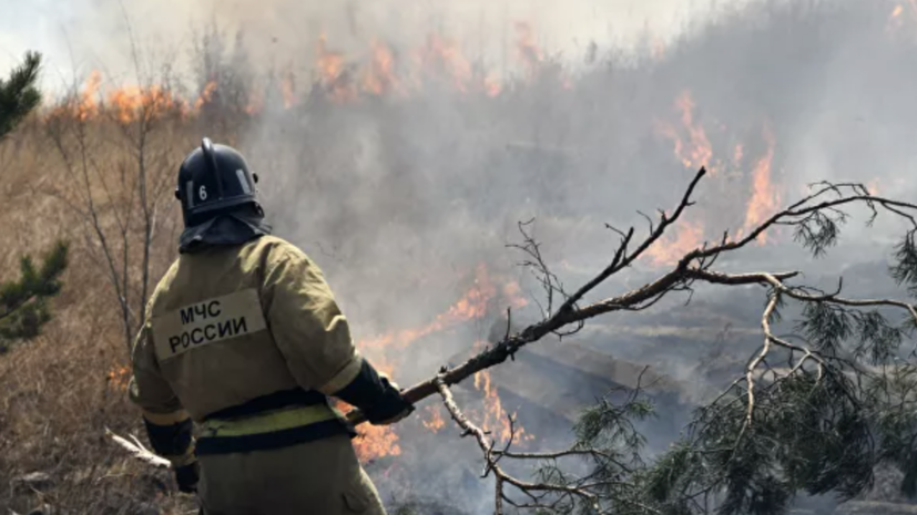 В России за сутки ликвидировали более 70 лесных пожаров