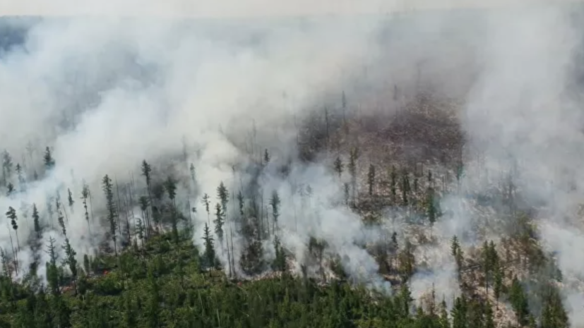 Forest fire services extinguished 134 natural fires per day in Russia ...