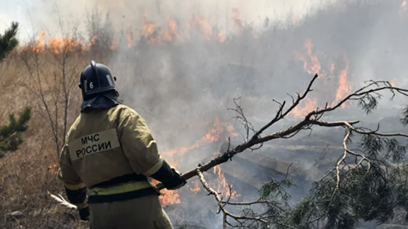На Чукотке сообщили о ликвидации всех лесных пожаров
