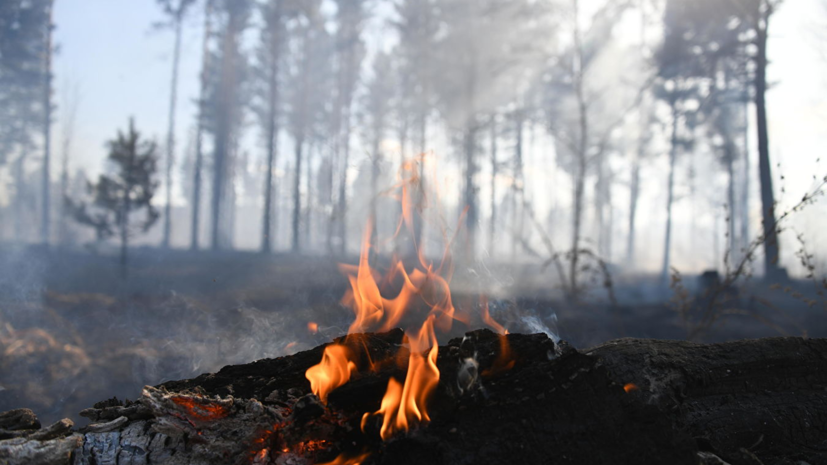 Крупный лесной пожар ликвидировали в Оренбуржье