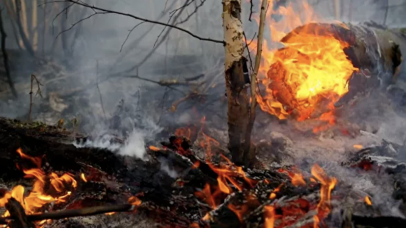 В Красноярске из-за лесных пожаров сохраняется задымление