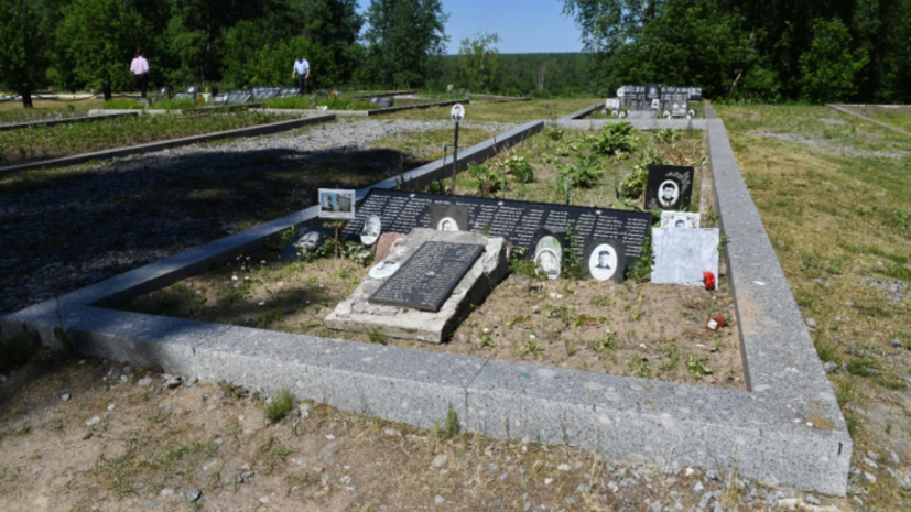 Поисковики нашли останки погибших на Синявинских высотах в Петербурге