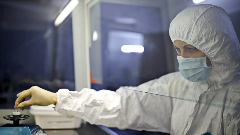 ВШЭ будет проводить выборочные тесты на COVID-19 среди студентов