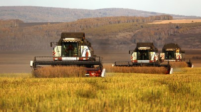 Аграрная перезагрузка: Россия за шесть лет снизила импорт продовольствия на треть