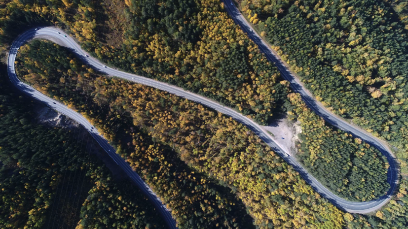 Число лесных пожаров в Иркутской области снизилось в 210 раз