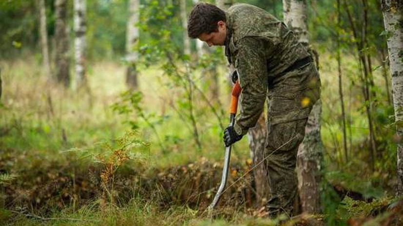 В Тверской области нашли останки 82 красноармейцев В Тверской области нашли останки 82 красноармейцев
