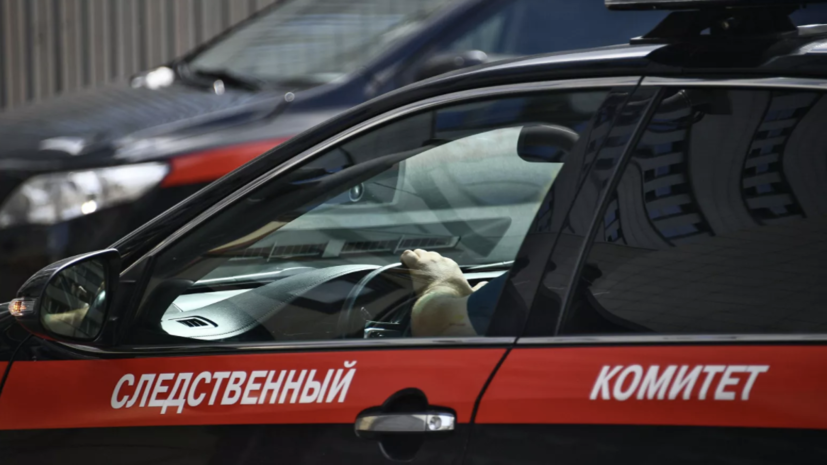 Во Владимирской области задержан напавший на девочку грабитель