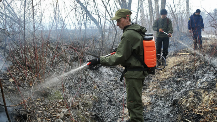 В России за сутки  потушено 19 природных пожаров