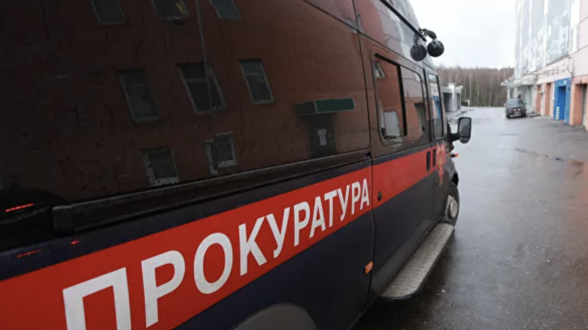 У жителя Краснодара из квартиры изъяли 16 змей У жителя Краснодара из квартиры изъяли 16 змей