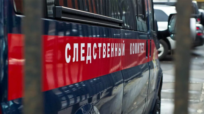 Дело возбуждено по факту наезда на пешеходов в Нижнем Тагиле