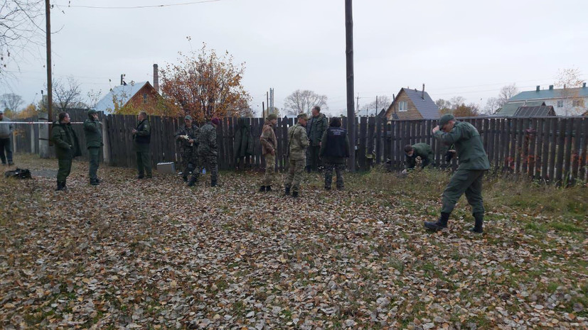 Клещи в нижегородской области фото