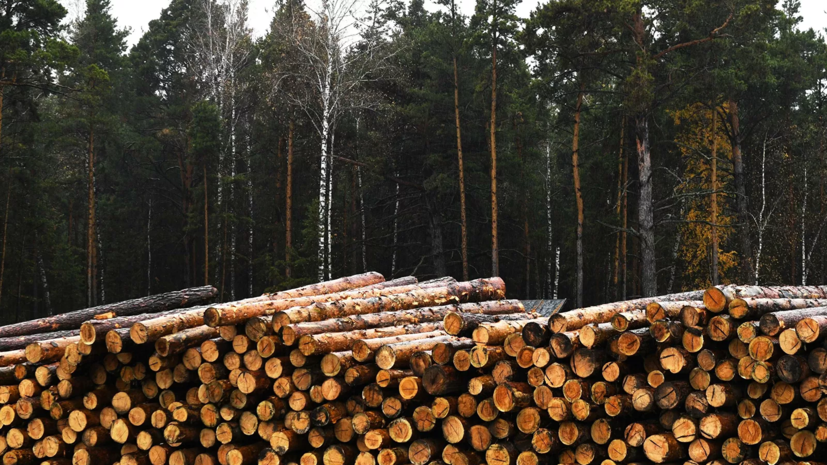 Затраты на разработку проекта освоения лесов