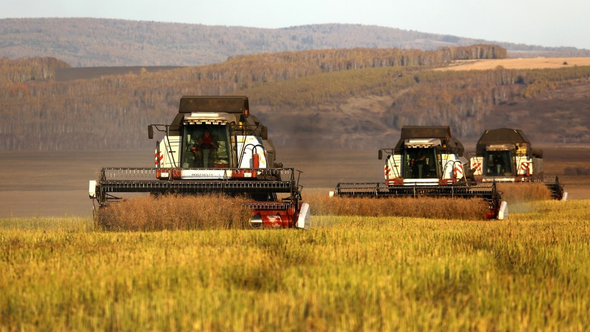 Экспорт продукции АПК Ставропольского края превысил $300 млн в 2020 году