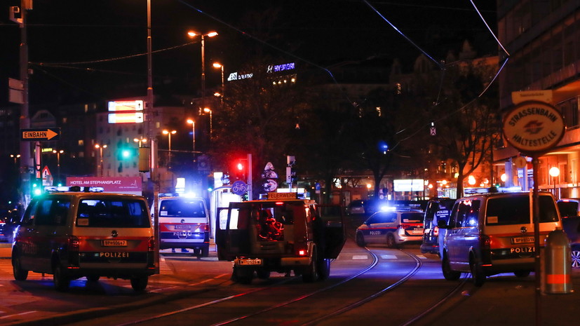 При стрельбе в центре Вены погибли семь человек