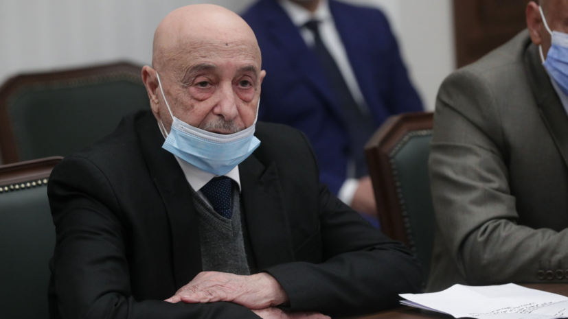 Депутаты России и Ливии обсудили вопросы межпарламентского сотрудничества